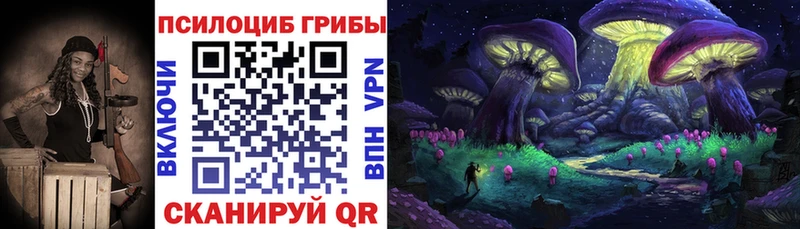 Галлюциногенные грибы мицелий  Купить где  Дорогобуж 